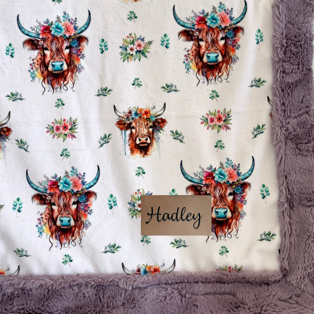 Highland Cow