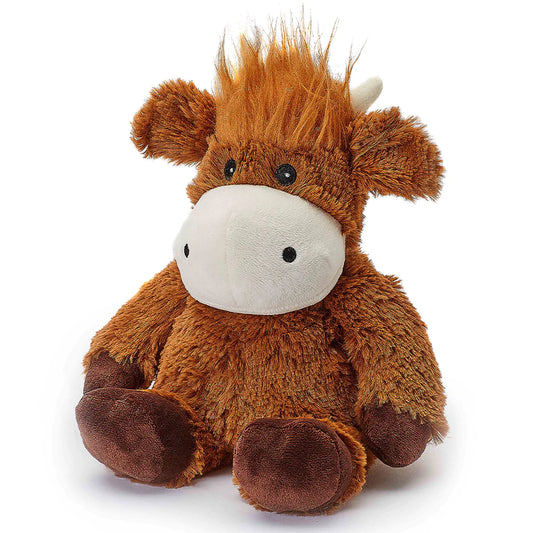 Bess the Highland Cow
