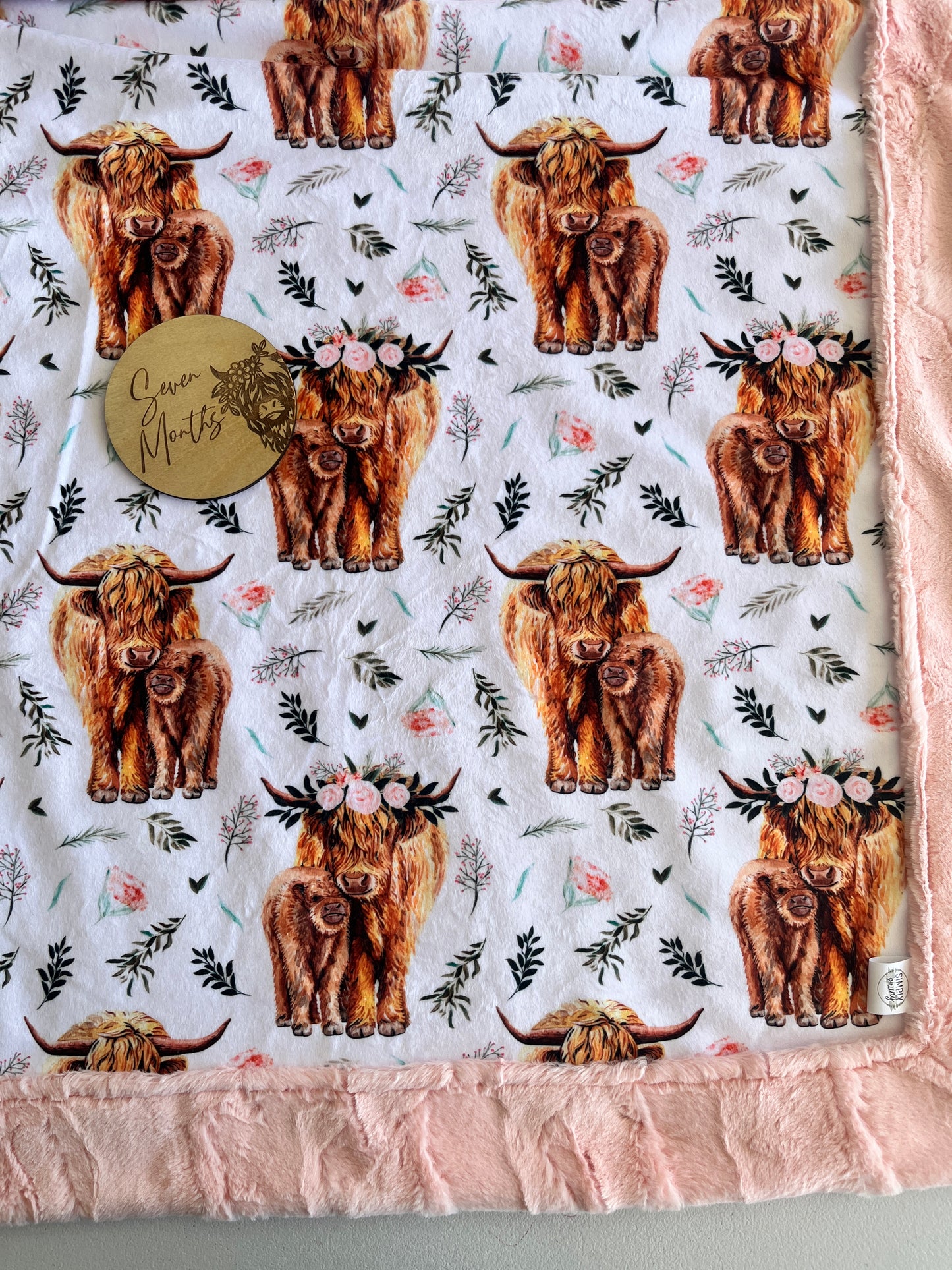 Highland Girl Cow Milestones